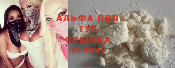прущие грибы Вяземский