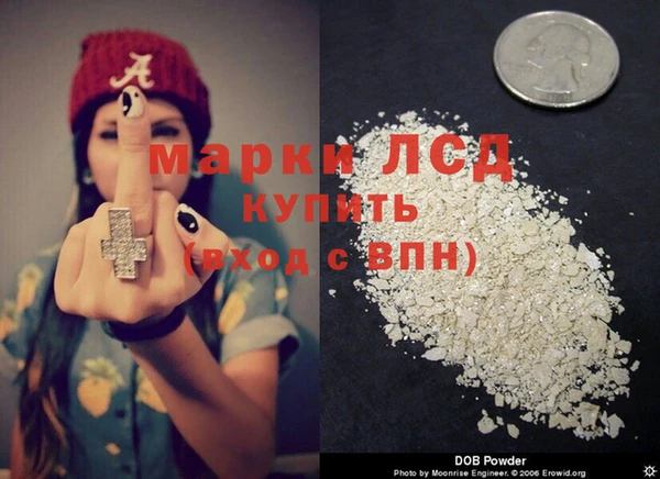 прущие грибы Вяземский