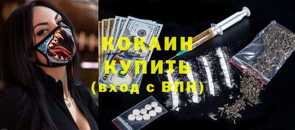 прущие грибы Вяземский