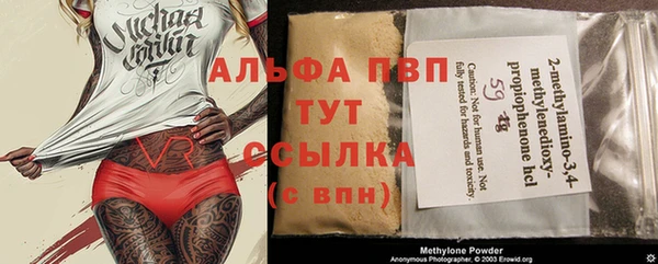 прущие грибы Вяземский