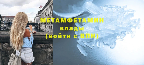 прущие грибы Вяземский