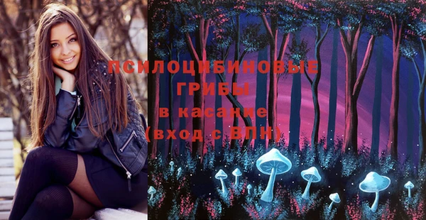 прущие грибы Вяземский