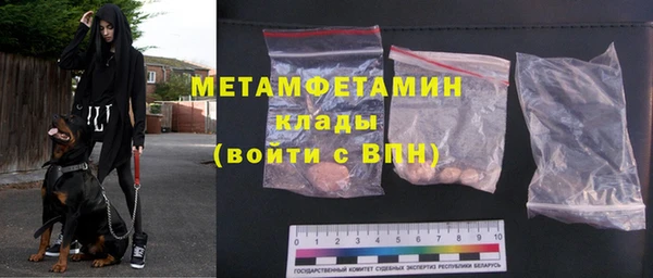прущие грибы Вяземский