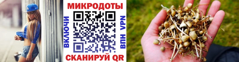 Галлюциногенные грибы GOLDEN TEACHER  купить наркотик  Пласт 