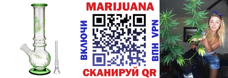 Канабис сатива  купить  сайты  Пласт 